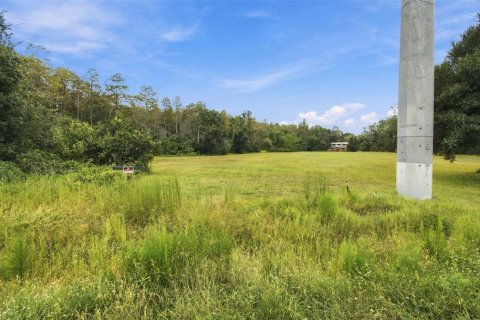 Land in Lutz, Florida № 2414940 - photo 16