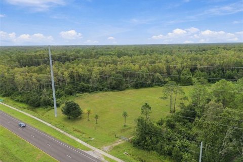 Land in Lutz, Florida № 2414940 - photo 21