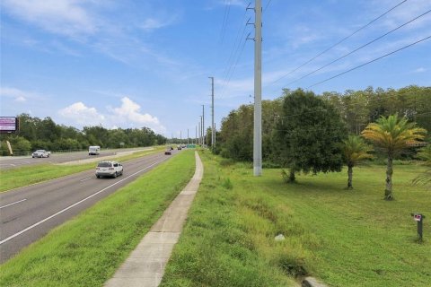 Land in Lutz, Florida № 2414940 - photo 18