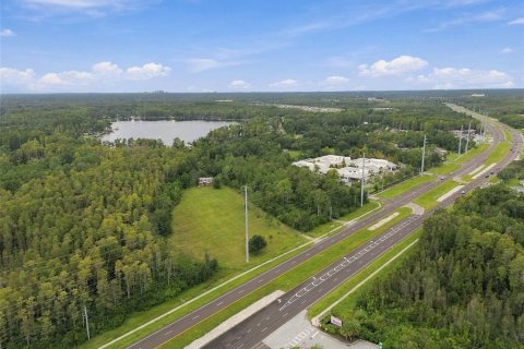 Land in Lutz, Florida № 2414940 - photo 24