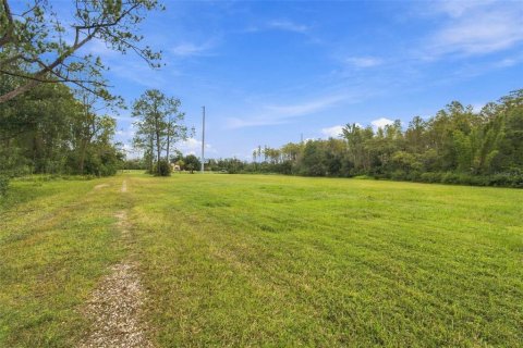 Land in Lutz, Florida № 2414940 - photo 5