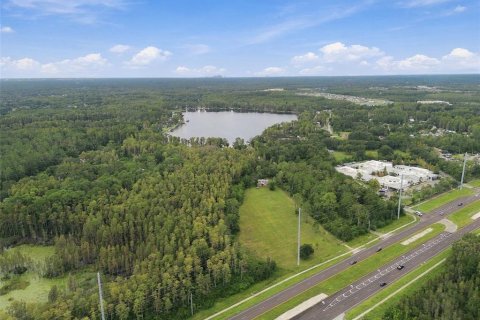 Land in Lutz, Florida № 2414940 - photo 29