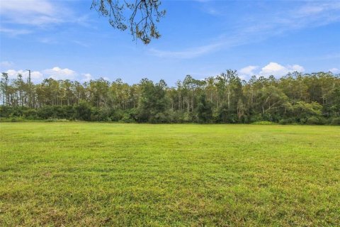 Land in Lutz, Florida № 2414940 - photo 4
