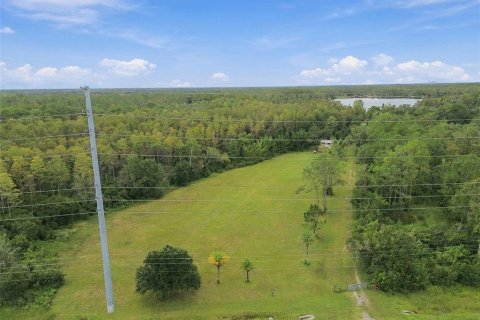 Land in Lutz, Florida № 2414940 - photo 22