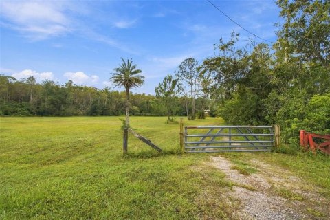 Land in Lutz, Florida № 2414940 - photo 2