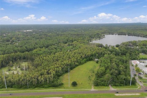Land in Lutz, Florida № 2414940 - photo 28
