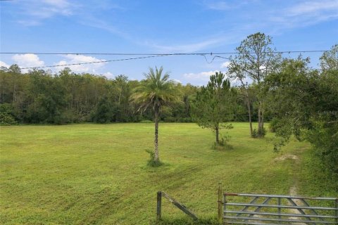 Land in Lutz, Florida № 2414940 - photo 19