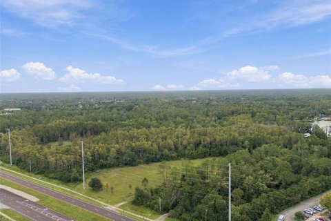 Land in Lutz, Florida № 2414940 - photo 26