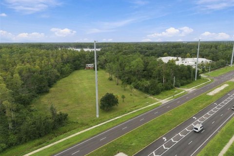 Land in Lutz, Florida № 2414940 - photo 23