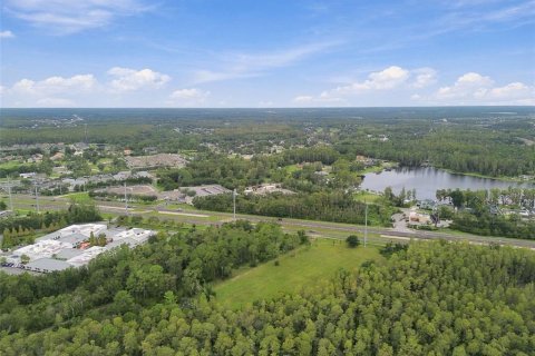 Land in Lutz, Florida № 2414940 - photo 30
