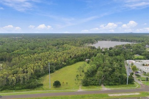 Land in Lutz, Florida № 2414940 - photo 25