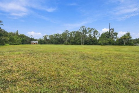 Land in Lutz, Florida № 2414940 - photo 13