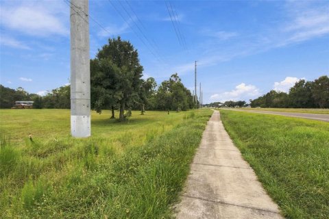 Land in Lutz, Florida № 2414940 - photo 17