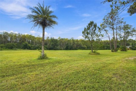 Land in Lutz, Florida № 2414940 - photo 3