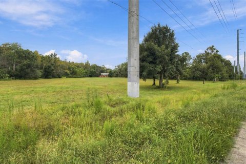 Land in Lutz, Florida № 2414940 - photo 15