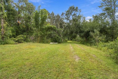 Land in Lutz, Florida № 2414940 - photo 8