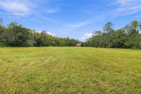 Land in Lutz, Florida № 2414940 - photo 14
