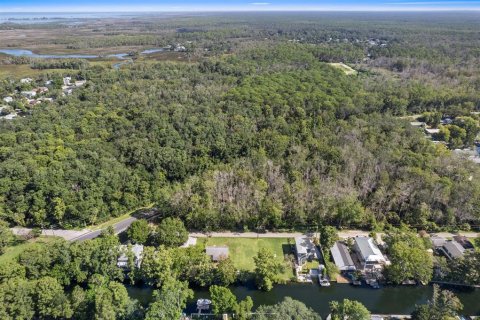 Terreno en venta en Weeki Wachee, Florida № 1886273 - foto 20
