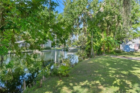 Land in Weeki Wachee, Florida № 1886273 - photo 18