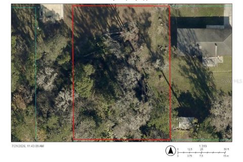 Land in Belleview, Florida № 2198650