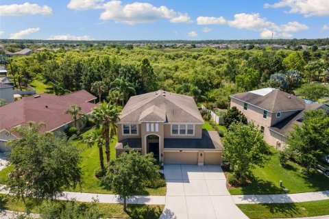 House in Tampa, Florida 5 bedrooms, 335.75 sq.m. № 1740759 - photo 5