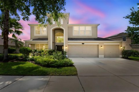 House in Tampa, Florida 5 bedrooms, 335.75 sq.m. № 1740759 - photo 2