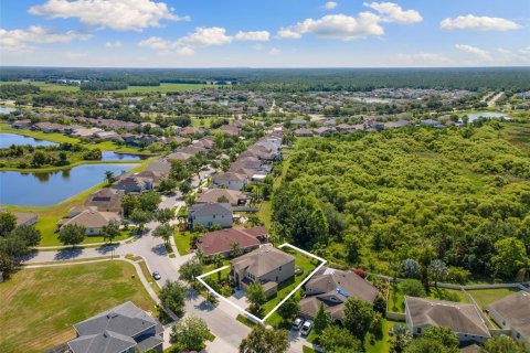 House in Tampa, Florida 5 bedrooms, 335.75 sq.m. № 1740759 - photo 6