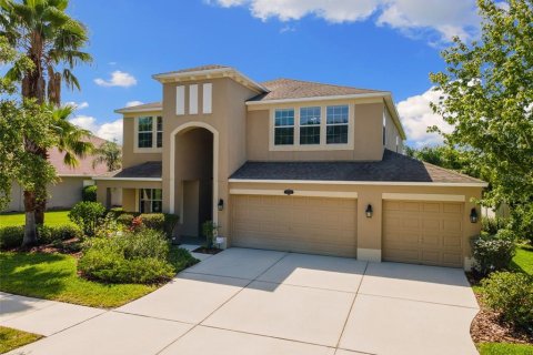 House in Tampa, Florida 5 bedrooms, 335.75 sq.m. № 1740759 - photo 1