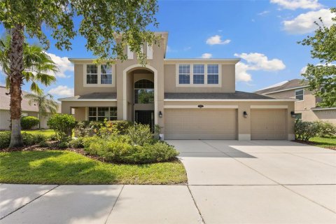 House in Tampa, Florida 5 bedrooms, 335.75 sq.m. № 1740759 - photo 3
