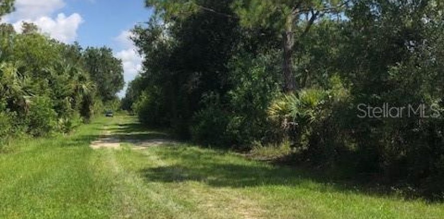 Land in Punta Gorda, Florida № 2224272