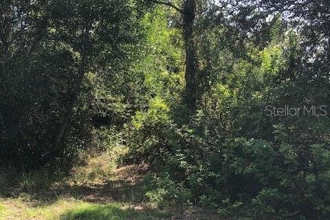 Land in Punta Gorda, Florida № 2224272 - photo 2