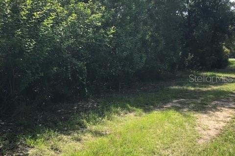 Land in Punta Gorda, Florida № 2224272 - photo 3