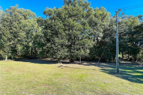 Land in Gainesville, Florida № 2136096 - photo 4