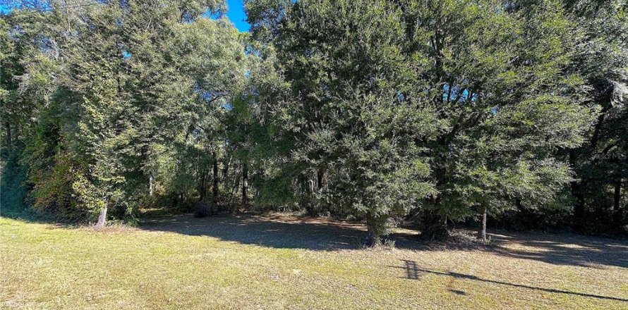 Land in Gainesville, Florida № 2136096