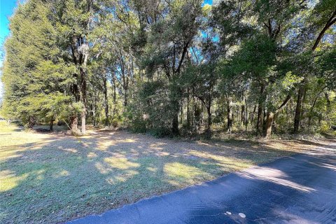 Land in Gainesville, Florida № 2136096 - photo 3