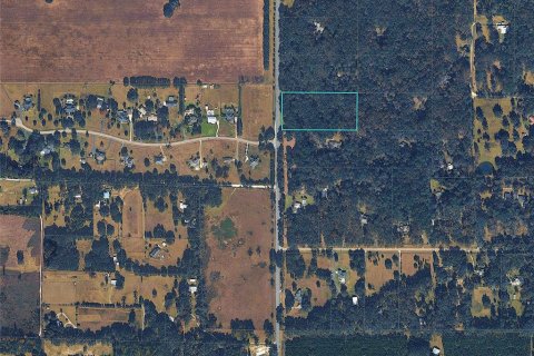 Land in Gainesville, Florida № 2136096 - photo 2