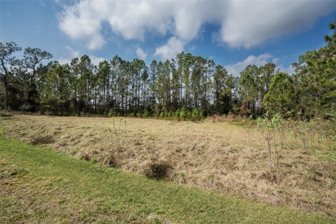 Land in Clermont, Florida № 1573755 - photo 18