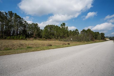 Land in Clermont, Florida № 1573755 - photo 21