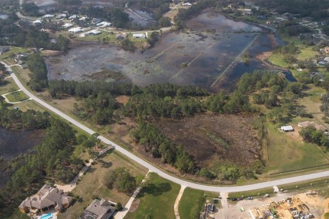 Land in Clermont, Florida № 1573755 - photo 7