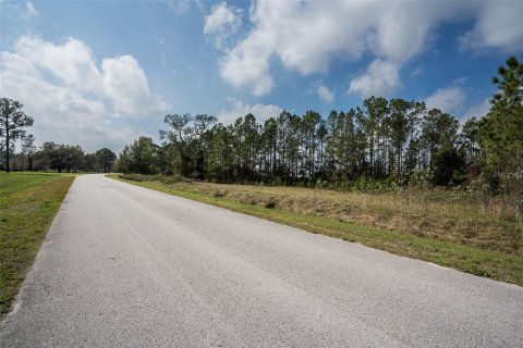 Land in Clermont, Florida № 1573755 - photo 17