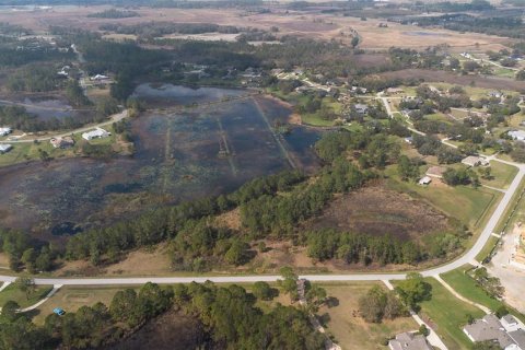Land in Clermont, Florida № 1573755 - photo 5