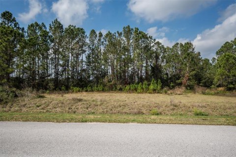 Land in Clermont, Florida № 1573755 - photo 20