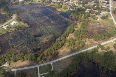 Land in Clermont, Florida № 1573755 - photo 3