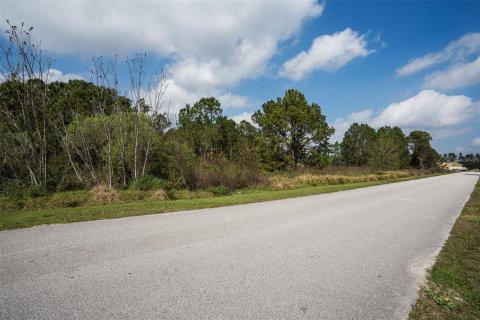 Land in Clermont, Florida № 1573755 - photo 16