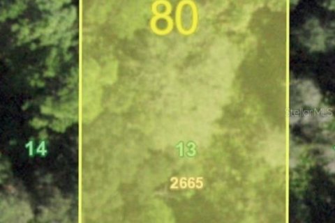 Земельный участок в Порт-Шарлотт, Флорида № 2165040