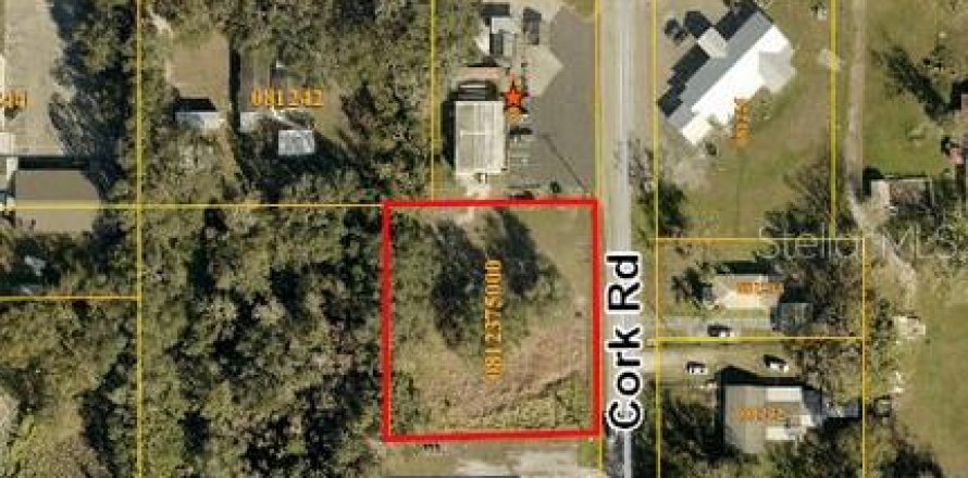 Land in Plant City, Florida № 1894057