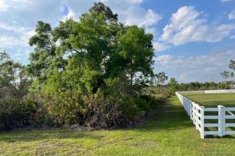 Terrain à vendre à Myakka City, Floride № 2105865 - photo 5