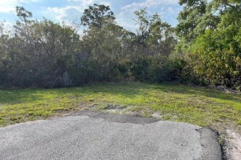 Terrain à vendre à Myakka City, Floride № 2105865 - photo 6