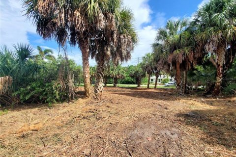 Terreno en venta en Port Charlotte, Florida № 251611 - foto 11