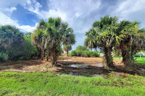 Terreno en venta en Port Charlotte, Florida № 251611 - foto 9